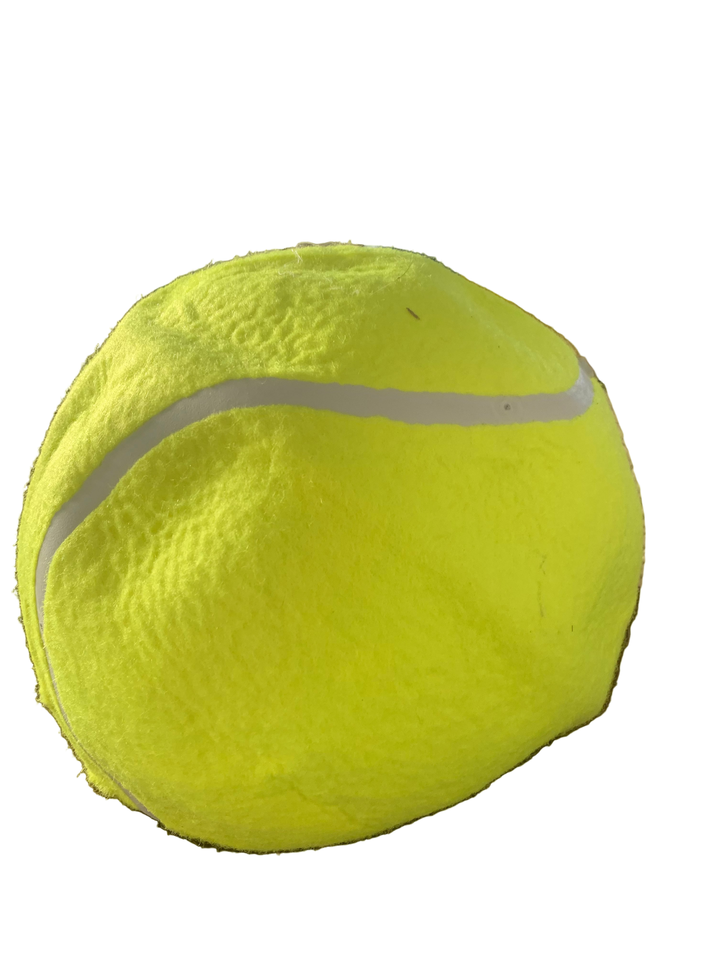Net Heads Tennis Ball Hat