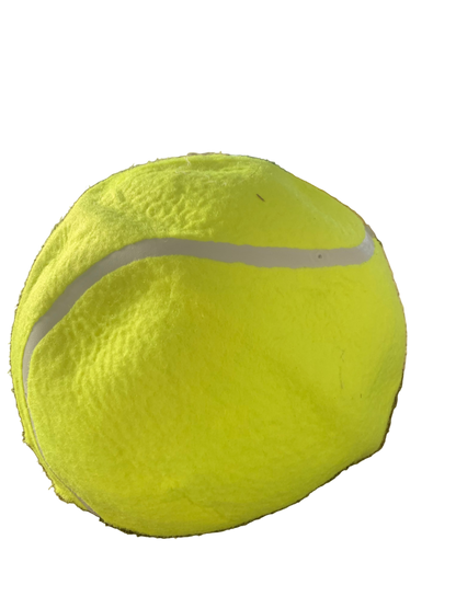 Net Heads Tennis Ball Hat