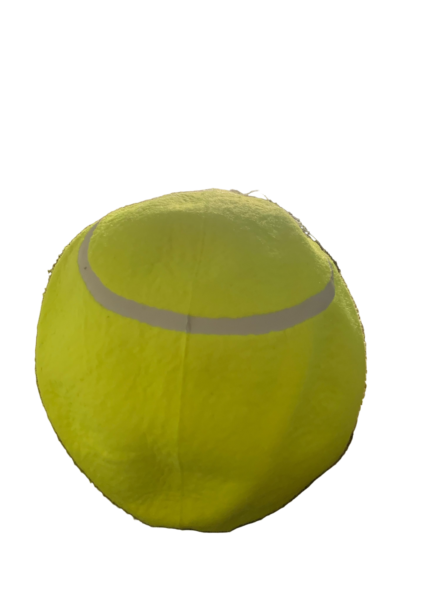 Net Heads Tennis Ball Hat
