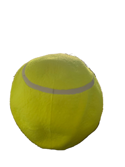 Net Heads Tennis Ball Hat